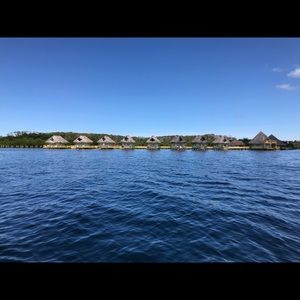 Meet your Posher, Olga